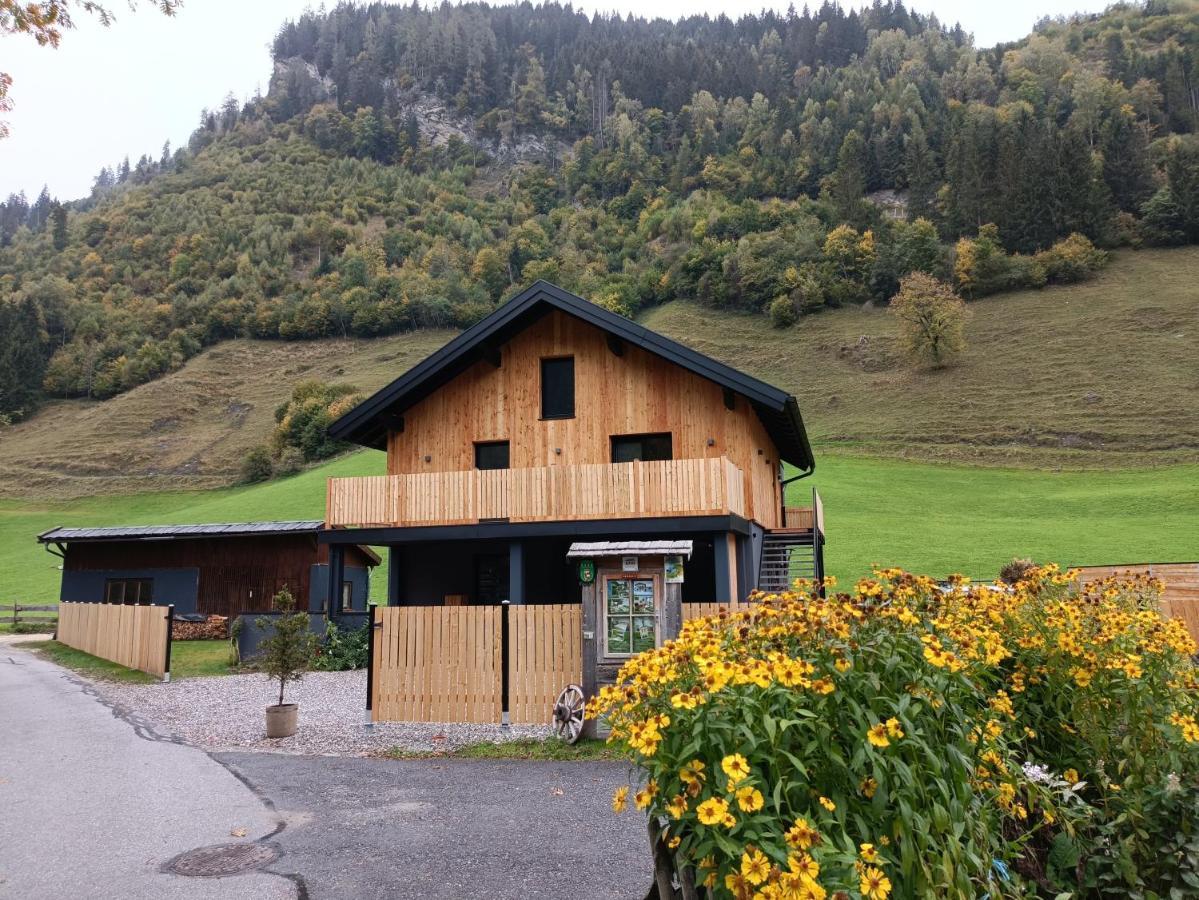 Alpartment 38 * Rauris